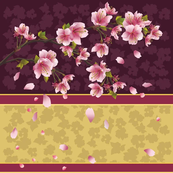 Hintergrund mit Sakura-Zweig - Japanischer Kirschbaum — Stockfoto