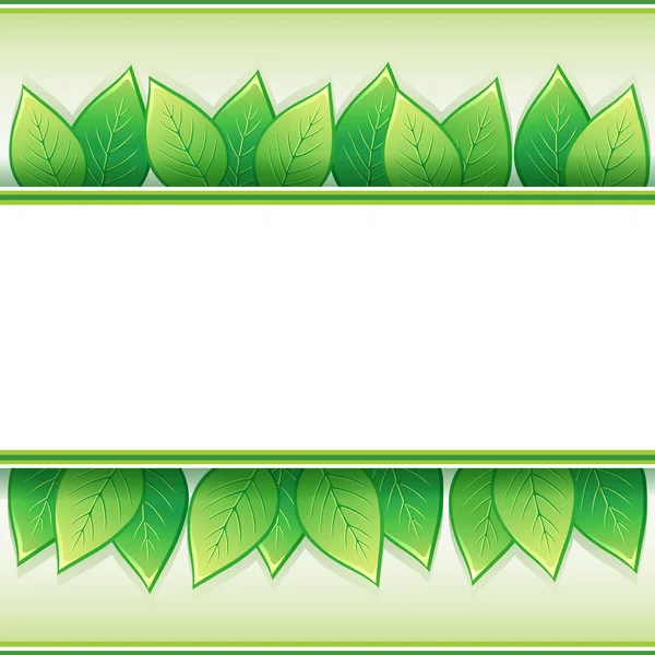 Eco background with fresh leaves — Stock Vector