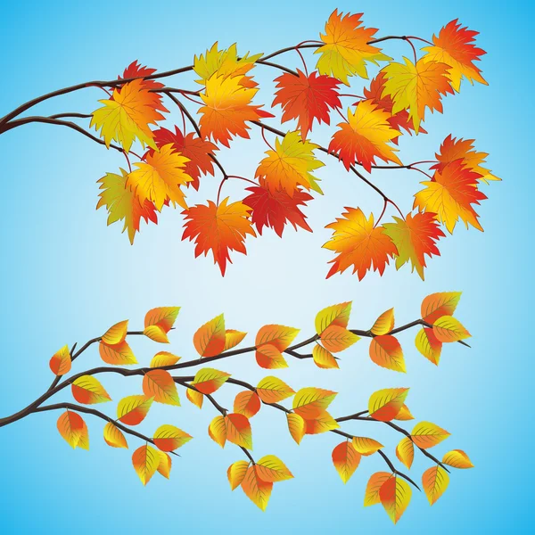 Set of autumn tree — Stock Vector