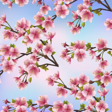arka plan sakura ağacı ile seamless modeli
