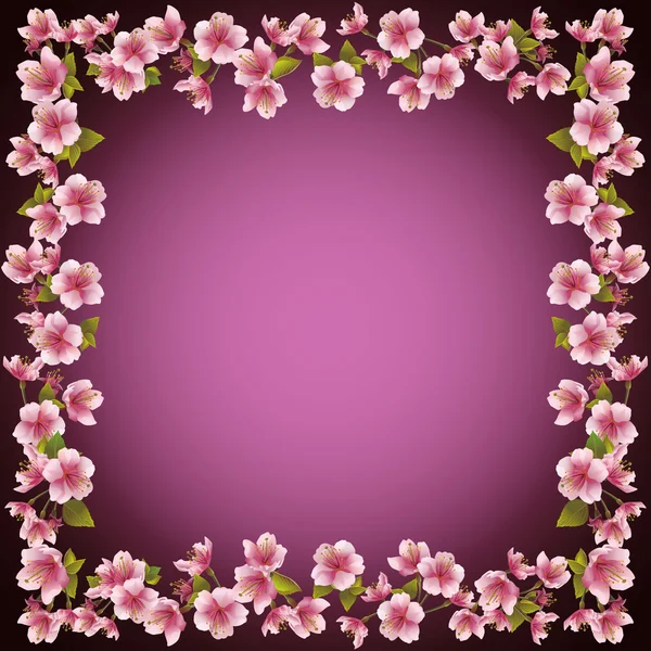 Floral frame, sakura bloesem achtergrond, vector — Stockvector