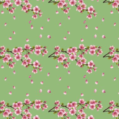 kiraz ağacı sakura çiçeği ile sorunsuz arka plan