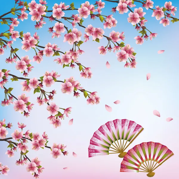 Decorative background with sakura - japanese cherry tree and fan — Stock Vector