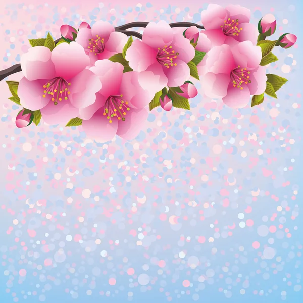 Purple background with sakura blossom - Japanese cherry tree — Stock Vector