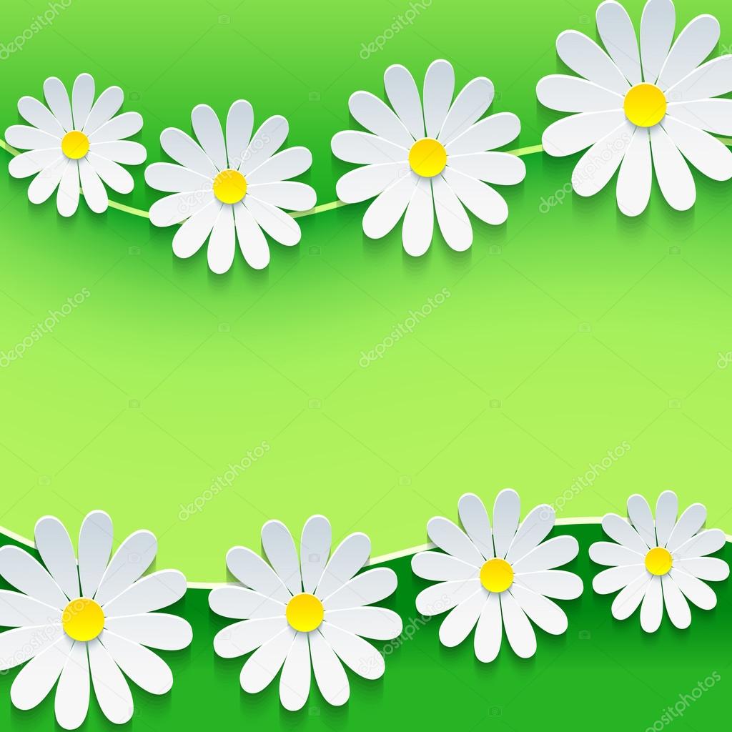 Floral frame with 3d chamomile flower