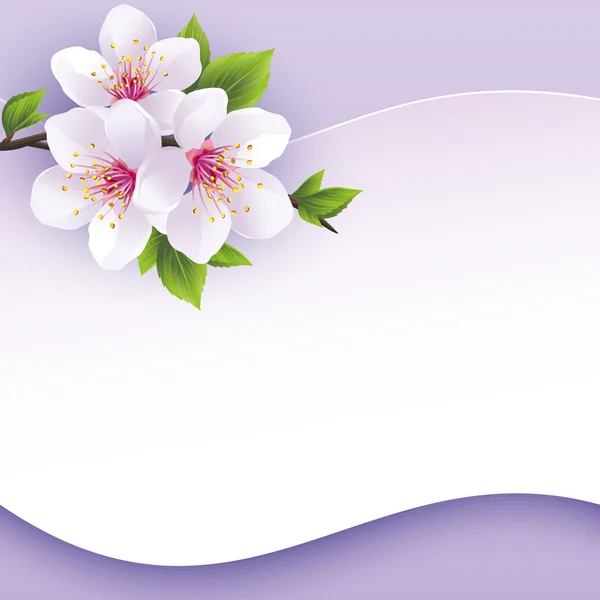 sakura şubesi ile tebrik veya davetiye kartı
