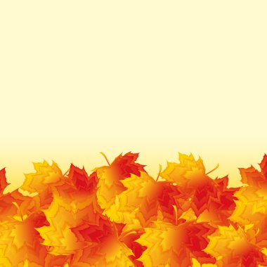 Autumn background with golden maple leaves clipart