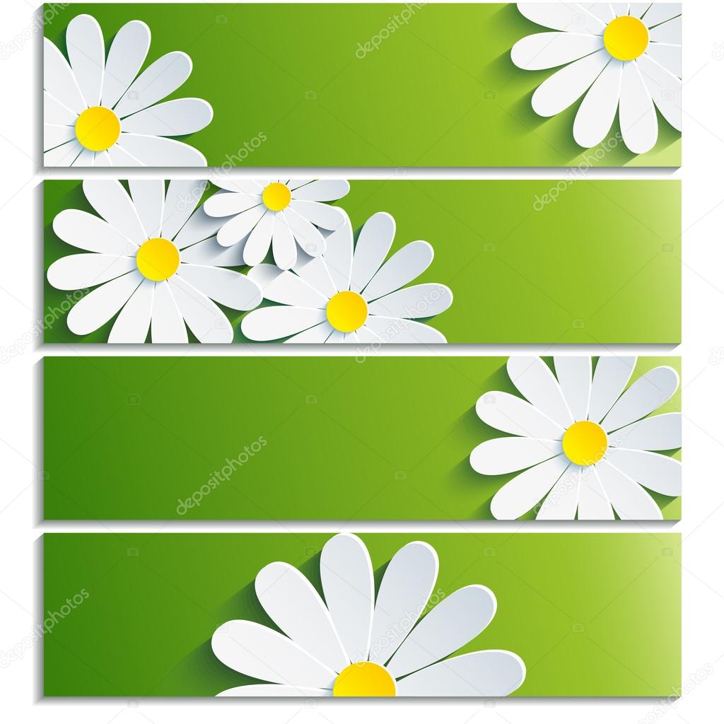 Set of banners with 3d flower chamomile
