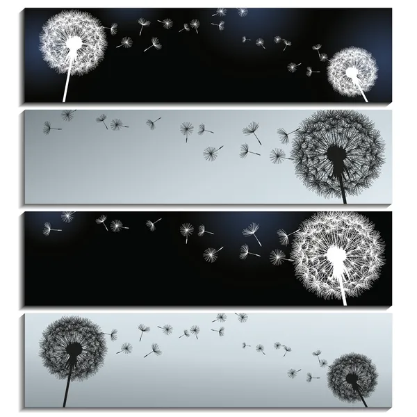 Set of horizontal banners black and grey with dandelions — Stock Vector