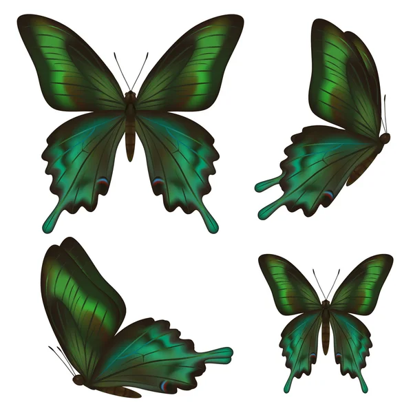 Set di belle farfalle verdi realistiche sopra il bianco — Vettoriale Stock