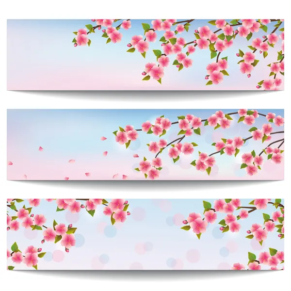 Conjunto de hermosas pancartas con sakura rosa cerezo — Archivo Imágenes Vectoriales