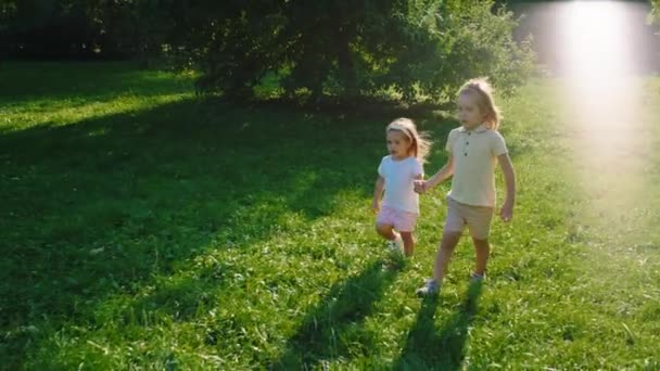 In a sunny day cute little kids brother and sister together walking together the grass in the park holding hands. 4k — Stock Video