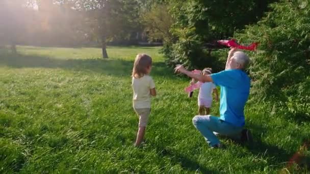Two charismatic little kids and their granddad playing together with the airplanes in the middle of the park in a sunny day — Stock Video