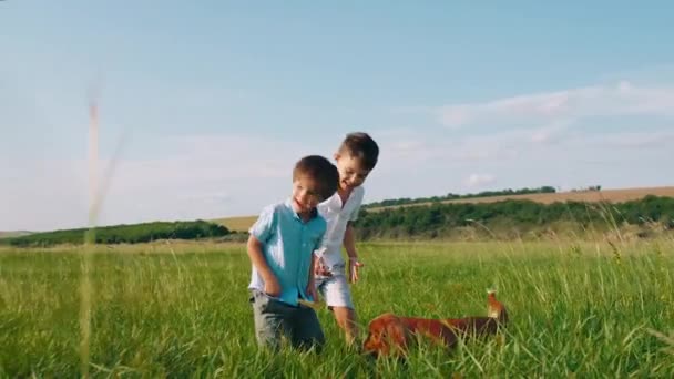 In detox of the camera two charismatic with a large smile kids two boys playing with their cute dog in the middle of green field they running and en the childhood — Stock Video