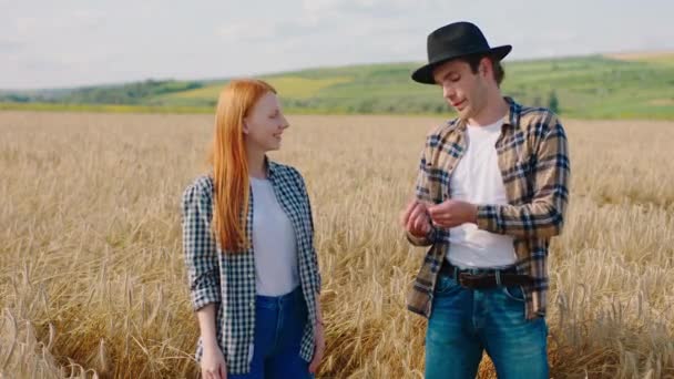 Conceito da indústria agrícola um belo casal tem um grande dia no meio do campo de trigo eles analisando a colheita deste ano e discutindo juntos — Vídeo de Stock