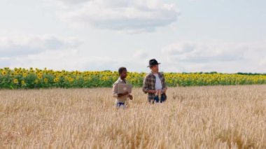 Karizmatik çiftçi kadın ve erkek çok ırklı buğday tarlasının ortasında bu yılın hasat sonuçlarını analiz edip dizüstü bilgisayarla bazı istatistikler alıyorlar.