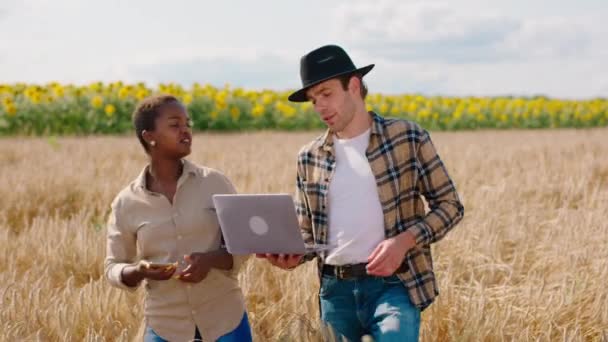 Midden in het tarweveld analyseren aantrekkelijke Afrikaanse vrouwelijke boer en haar man samen de oren van tarwe en maken met behulp van een laptop wat foto 's van de telefoon om notities te maken. 4k — Stockvideo