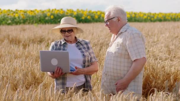 Vieille agricultrice charismatique et son mari au milieu du champ de blé discutant des prochaines étapes de la collecte des récoltes à l'aide de l'ordinateur portable pour analyser certaines statistiques — Video