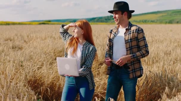 Két fiatal farmer férfi és nő jól néz ki, elviszik a laptopjukat, hogy elemezzék az idei betakarítási statisztikát a búzamező közepén. — Stock videók