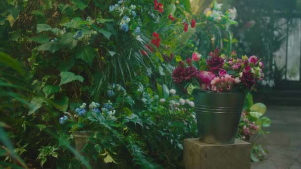 Très beau bouquet de fleurs prenant la vidéo gros plan à la caméra dans une grande serre fleurs — Video