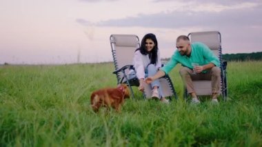 Mutlu bir aile kadını ve erkek ve şirin köpekleri doğada, sandalyeye oturup şampanya bardaklarını tutarken anın tadını çıkarın.