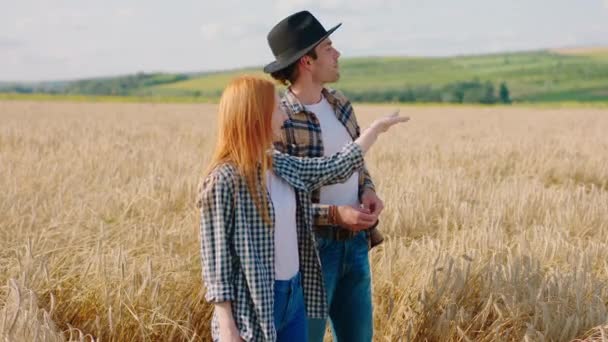 Gut aussehende zwei Bauern, die mitten auf dem Feld die Weizenernte analysieren, haben ein Gesprächskonzept für die Landwirtschaft. Schuss auf ARRI Alexa Mini. — Stockvideo