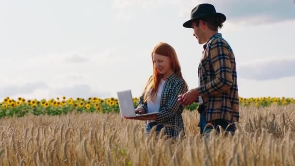 Jonge koppel boeren met een laptop in het midden van tarwe veld analyseren van een aantal statistieken van de laptop samen — Stockvideo