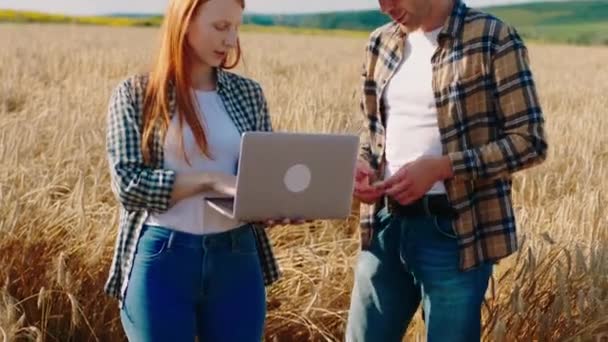 In front of the camera charismatic couple in the middle of wheat field came with laptop to analysing the harvest of this year — Stock Video