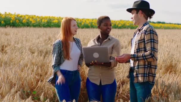 Femme noire très charismatique et ses deux amis agriculteurs au milieu du champ de blé ils analysent à partir de l'ordinateur portable quelques statistiques. 4k — Video