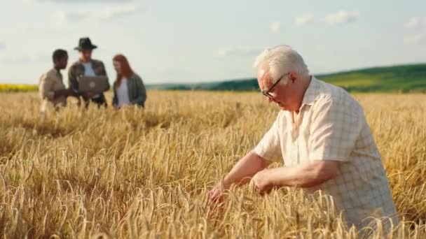 Перед камерой старик-фермер пришел вместе со своей семьей многорасовых членов и анализируя результаты сбора урожая за этот год — стоковое видео