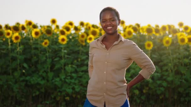 Uma mulher negra deslumbrante com cabelo loiro curto está vestindo uma camisa bronzeada e posando na frente de um campo de girassol, sorrindo brilhantemente — Vídeo de Stock