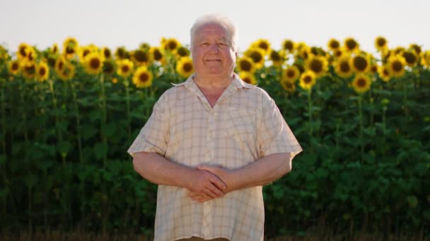 Un vecchio con una camicia a scacchi è in piedi con le braccia incrociate in un bellissimo campo di girasole e sorride allegramente — Video Stock