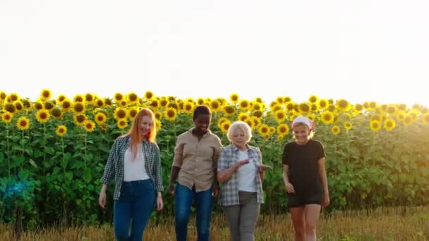 Vieille agricultrice très charismatique et ses petites-filles multiraciales avec un grand sourire au milieu du champ de tournesols marchant devant la caméra. Tourné sur ARRI Alexa Mini. — Video