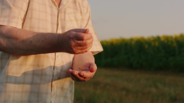 Starý muž farmář detailní up detaily vzít nějaké bílé slunečnice semena a hrát v ruce detaily detailní up — Stock video