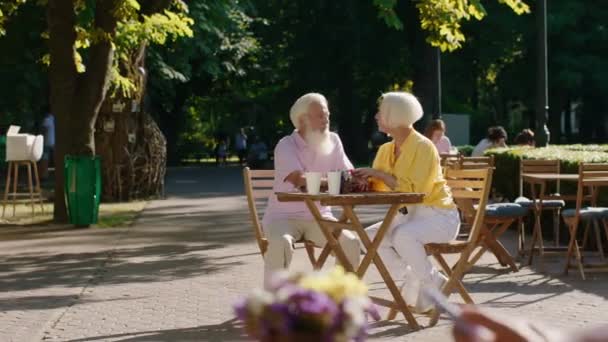 Sommertid smukke par meget romantisk hastighedsoverskridelse god tid sammen på cafeen har en dejlig samtale – Stock-video