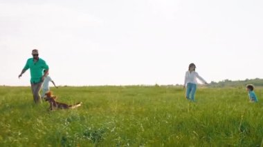 Mükemmel güneşli bir gün. İki karizmatik çocuk ve genç ebeveynleri doğanın ortasında küçük şirin köpekleri İngiliz cocker spaniel ile yeşil alanda koşuştururken iyi vakit geçiriyorlar.