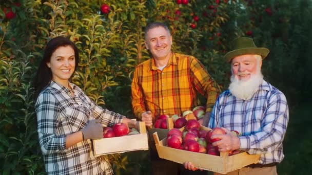 Στην έννοια του οπωρώνα μήλου της γεωργικής βιομηχανίας ποζάρουν μπροστά από την κάμερα ο γέρος αγρότης και τα μέλη της οικογένειάς του μετά το τέλος της συγκομιδής μήλου — Αρχείο Βίντεο