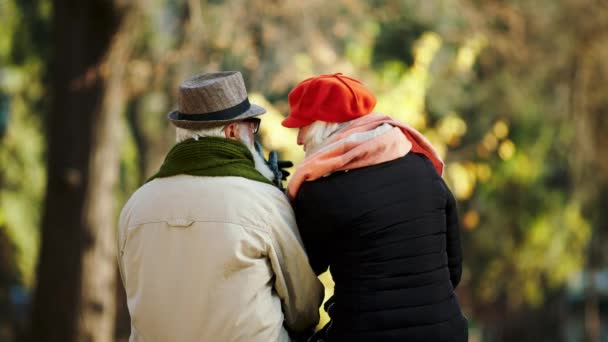 Tomando video de la parte posterior de una carismática pareja de ancianos en el parque discutiendo juntos mientras están sentados en la silla en un último día de otoño — Vídeos de Stock