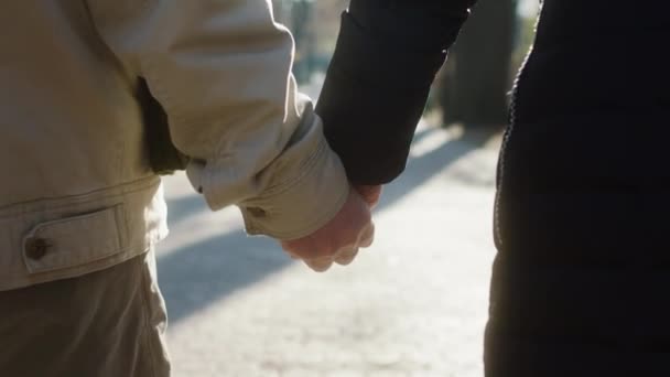 Близько до камери подробиці старих рук, що тримають один одного старий чоловік і жінка під час прогулянки парком — стокове відео