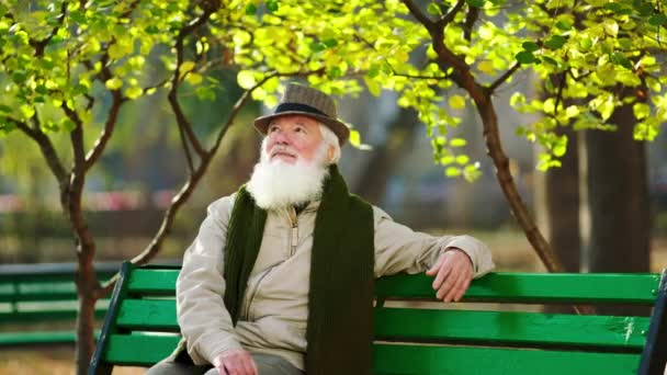 Attraktiver alter Mann spaziert allein durch den Park, setzt sich auf den Stuhl und genießt die Zeit im Spätherbst, an dem er einen niedlichen Vintage-Hut trägt — Stockvideo