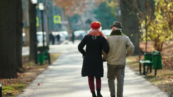 Mitten im Park spazieren an einem Spätherbsttag charismatische schöne Pärchen gemeinsam durch den Park und umarmen sich romantisch — Stockvideo