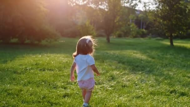 In een zonnige dag geweldig klein meisje lopen door het gras in het midden van het park vastleggen van video close-up — Stockvideo