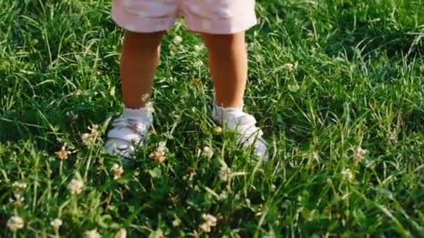 Detalles de primer plano de unas lindas piernas pequeñas sobre la hierba caminando en un día soleado de verano — Vídeo de stock