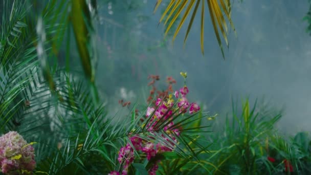 熱帯の緑は、多様な植物や花のビデオを撮影非常に美しく、特別なクローズアップ — ストック動画