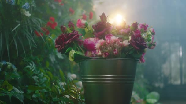 Closeup to the camera concept of amazing flowers bouquet in front of the camera in a large greenhouse — Stock Video