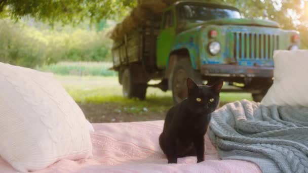 Devant la caméra incroyable chat noir profiter du temps à l'extérieur de la maison prendre une pause sur le lit à côté de la terrasse concept de campagne — Video