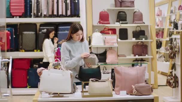 Красива молода жінка-клієнт уважно дивиться на сумку, поки продавець прийшов, щоб допомогти клієнту вибрати правильну сумку — стокове відео