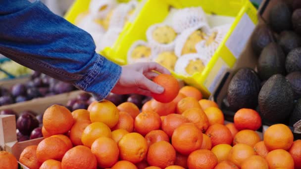 V obchodě se zeleninou eko zákazník vyzvednout nějaké čerstvé pomeranče z krabice konceptu zemědělství a čerstvé sklizně — Stock video