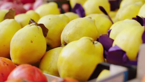 Closeup στην κάμερα βιολογικά φρούτα λήψη βίντεο στο οικολογικό κατάστημα λαχανικών έννοια της γεωργίας και υγιεινό τρόπο ζωής — Αρχείο Βίντεο