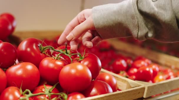 Tomando primer plano de vídeo en el cliente tienda orgánica tomar algunos tomates maduros frescos de la caja — Vídeo de stock